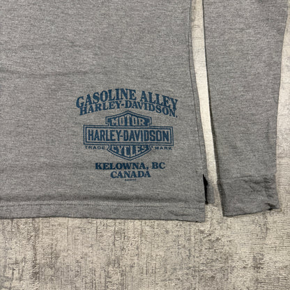 Harley Davidson Womens Grey Graphic Hoodie Size S Y2K Pullover     -I23