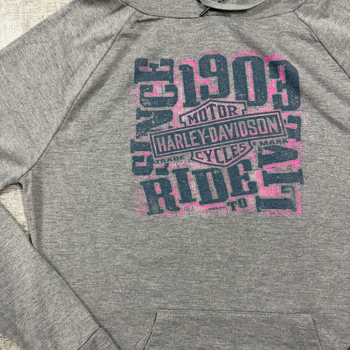 Harley Davidson Womens Grey Graphic Hoodie Size S Y2K Pullover     -I23