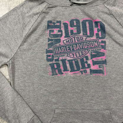 Harley Davidson Womens Grey Graphic Hoodie Size S Y2K Pullover     -I23