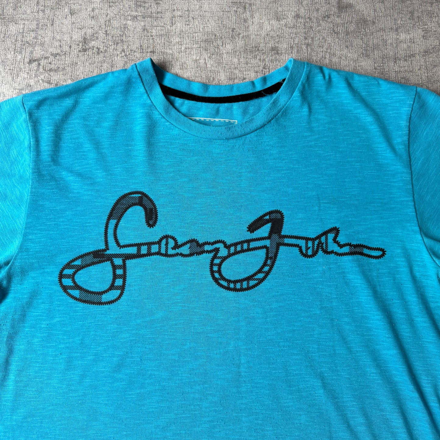 Sean John Y2K Teal Script Logo Graphic T-Shirt Size M Mens                         -E50