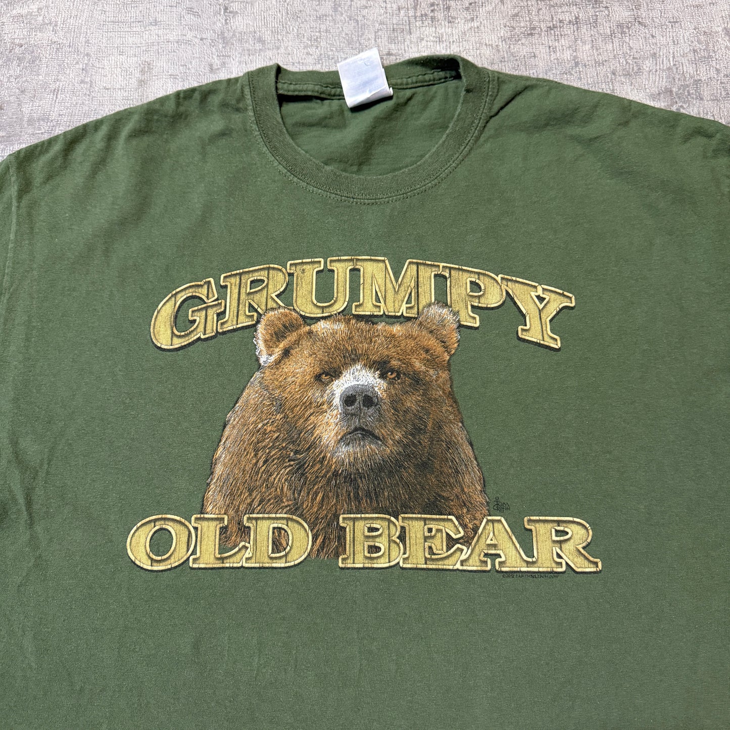 Vintage “Grumpy Old Bear” Green T-Shirt Size XL Mens Gildan                  -F42