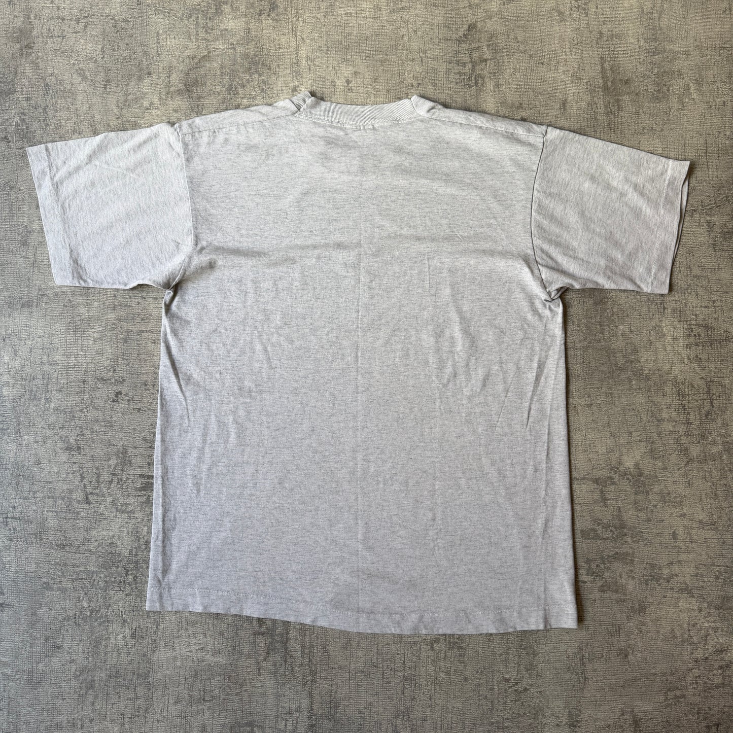 Vintage 80’s Grey “Camp Countryside” T-Shirt Size L Mens Made In USA           -H49