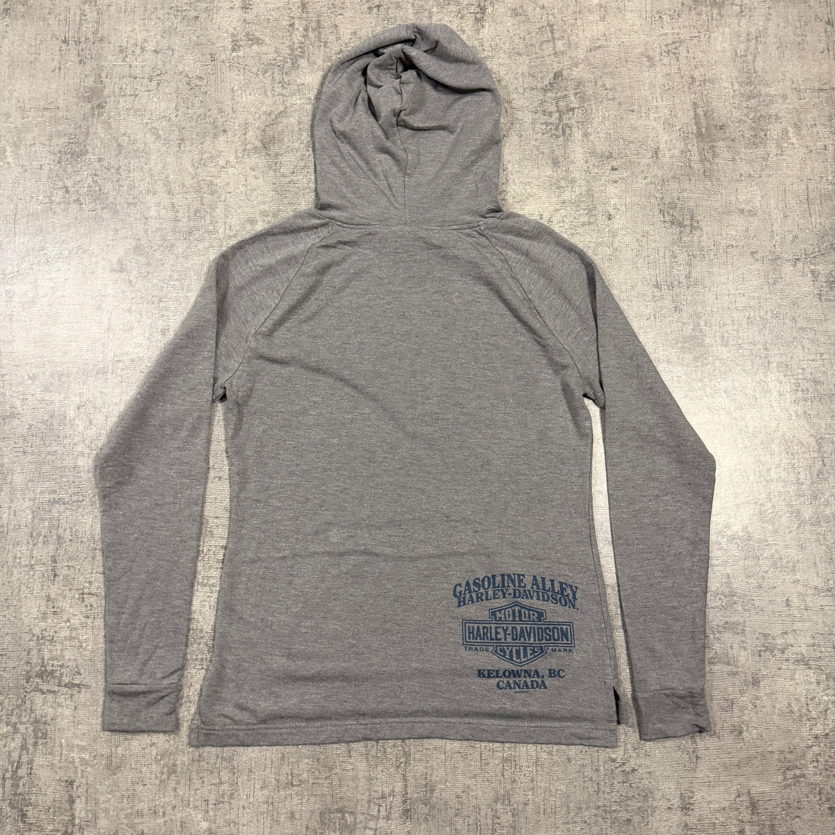 Harley Davidson Womens Grey Graphic Hoodie Size S Y2K Pullover     -I23