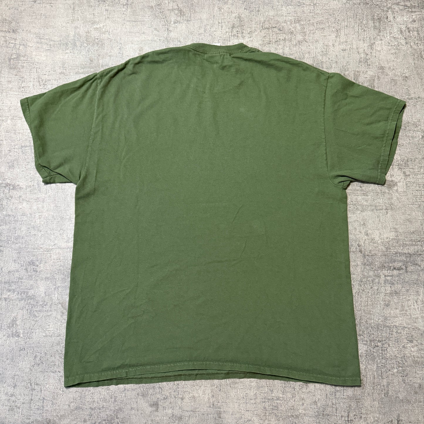 Vintage “Grumpy Old Bear” Green T-Shirt Size XL Mens Gildan                  -F42